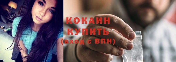 прущая мука Инсар