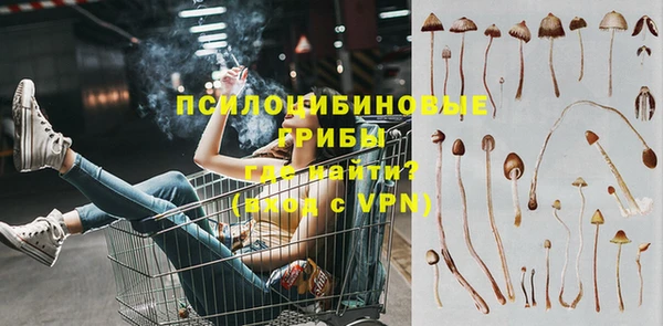 PSILOCYBIN Зерноград