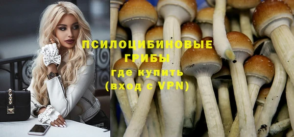 гидропоника Инта