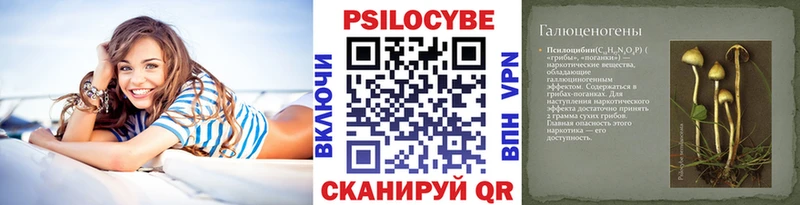 Галлюциногенные грибы мухоморы  Купить  Александровск-Сахалинский 